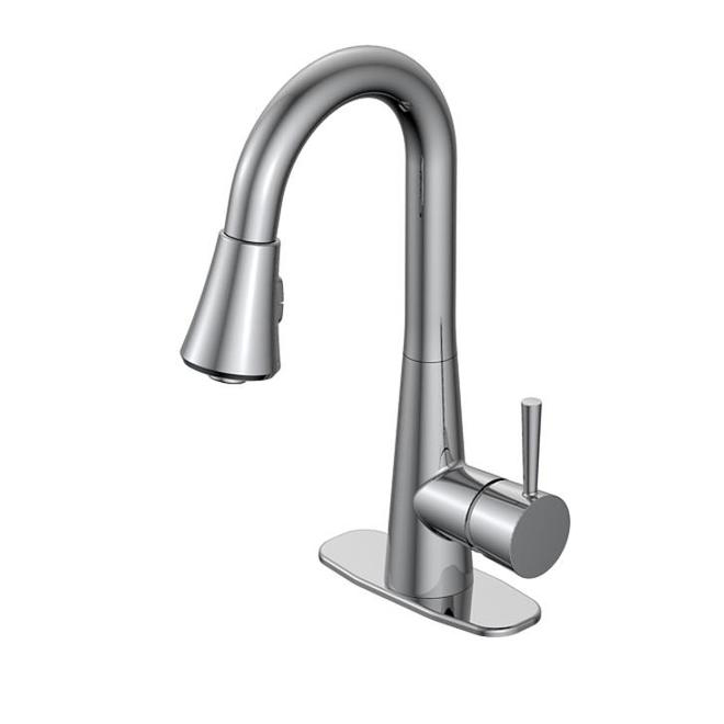 Jacuzzi Carson 1Handle Utility Sink Pulldown Faucet FP4A0068CP RONA