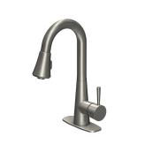 Jacuzzi Carson 1-Handle Utility Sink Pulldown Faucet