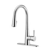 Project Source Single-Lever Chrome Finish Pull-Out Kitchen Faucet