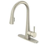 allen + roth Single-Lever Brushed Nickel Pull-Out Kitchen Faucet