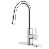 allen + roth Sophie 1 Handle Sink Spray Chrome Finish Kitchen Faucet with Pull-Down