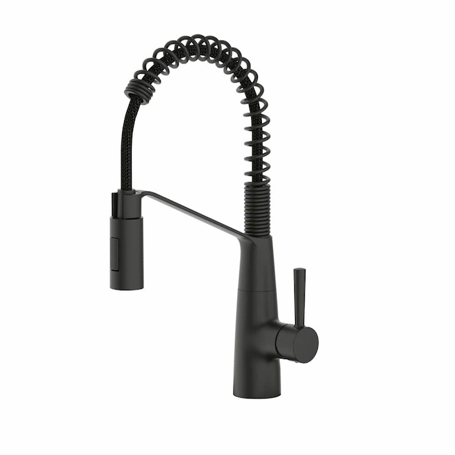 Landon & Co. Truven Kitchen Faucet with 1 Handle and Spring Pull-Down Spout - Matte Black