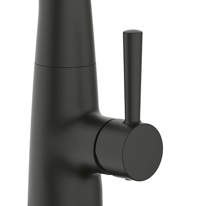 Landon & Co. Truven Kitchen Faucet with 1 Handle and Spring Pull-Down Spout - Matte Black