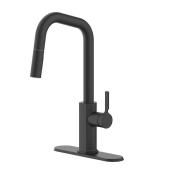Landon & Co.Quorra Kitchen Faucet with 1 Handle and Pull-Down Spout - Matte Black