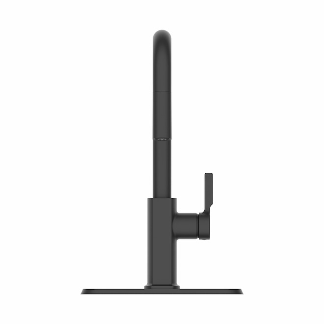 LANDON&CO Landon & Co.Quorra Kitchen Faucet with 1 Handle and Pull