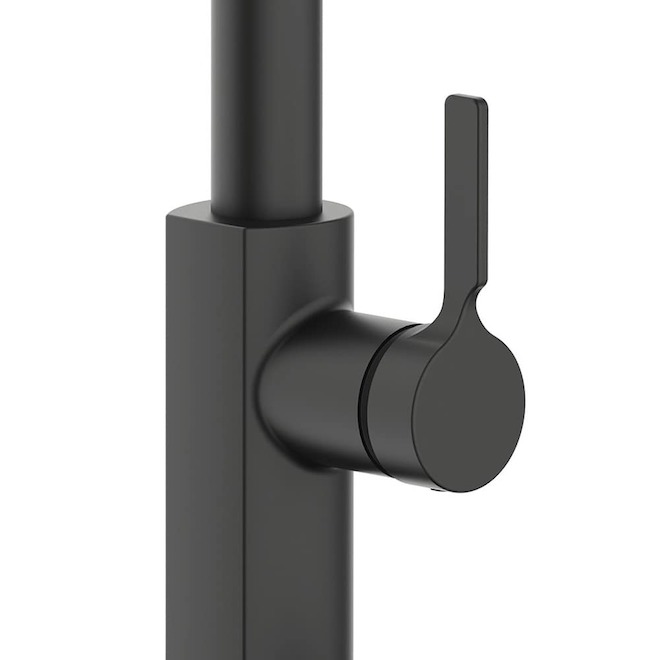 その他 2024 EC C. Guevarra/F. Castro 1of1 Black LANDON&CO Landon & Co.Quorra Kitchen Faucet with 1 Handle and Pull