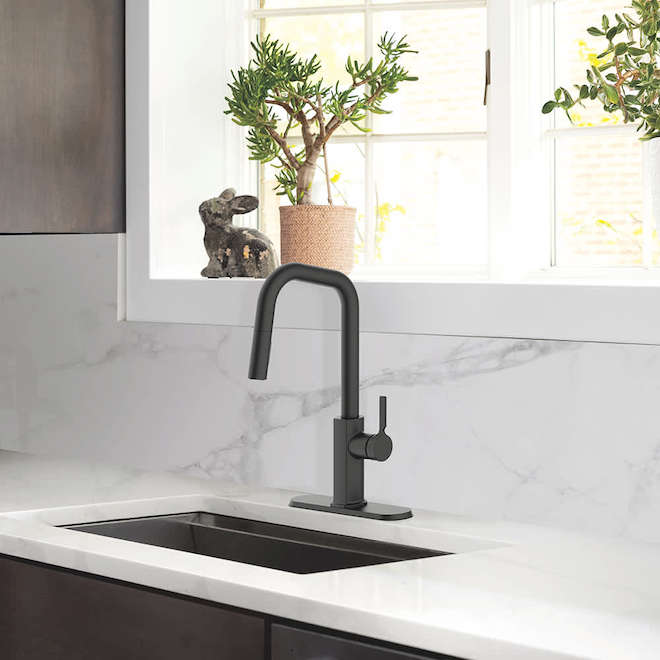 LANDON&CO Landon & Co.Quorra Kitchen Faucet with 1 Handle and Pull