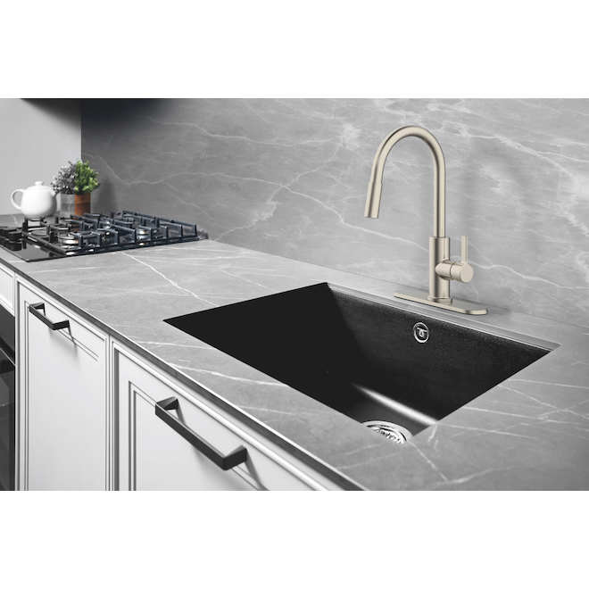 Landon & Co. Mabela Kitchen Faucet with 1 Handle and Pull-Down Spout - Brushed Nickel