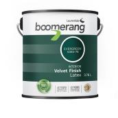 Boomerang Recycled Interior Acrylic Latex Paint - Low VOC - Velvet - Evergreen - 3.78 L