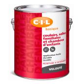 Peinture d'intérieur latex acrylique