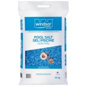 Windsor Pro Pool Salt - 20-kg