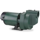Zoeller Pro Irrigation Pump Cast Iron Lawn Pump