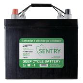 Basement Sentry 1-Pack 75-Amp Thermoplastic Battery