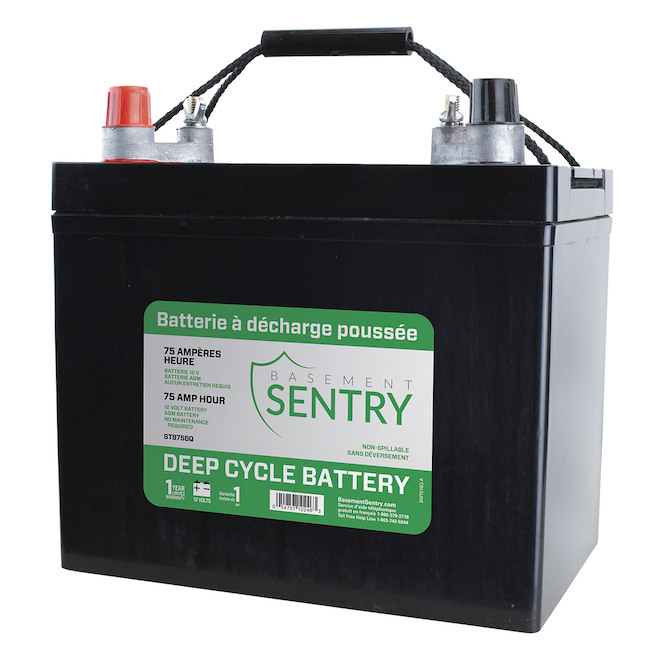 Basement Sentry 1-Pack 75-Amp Thermoplastic Battery