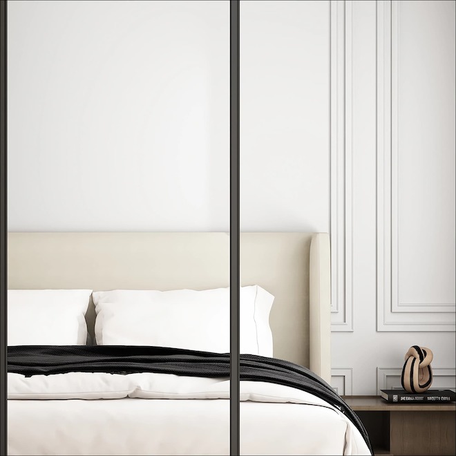 Landon & Co. Closet Mirror Door 48 X 80-in Sliding - Black Frame