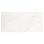Mono Serra Rectangular Porcelain Tiles - 12-in x 24-in - 8/Box - Glossy Marble
