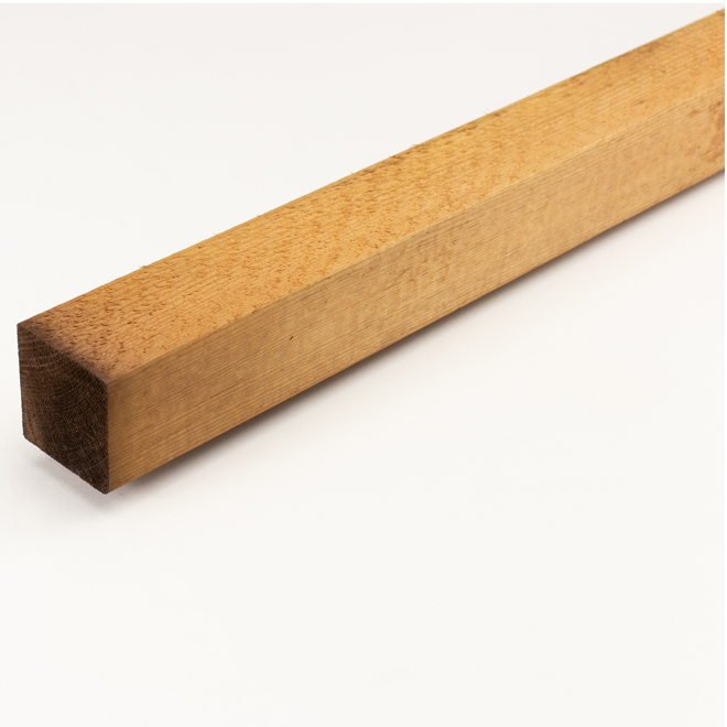 2 in. x 4 in. x 8 ft. Brown Stain Ground Contact Pressure-Treated