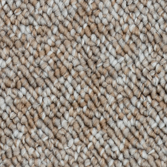 Beaulieu Livia 12-ft Olefin Fibre Rustic View Loop Carpet