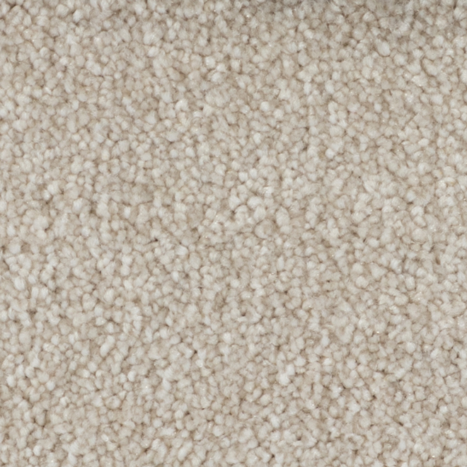 Stainmaster Arthur 12-ft W Off-White Textured Soft Polyester Fibre Loop Pile Carpet - Sold by Linear Foot