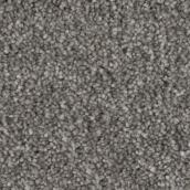 Stainmaster Arthur 12-ft W Polyester Fibre Cut Pile Carpet - Soft Words