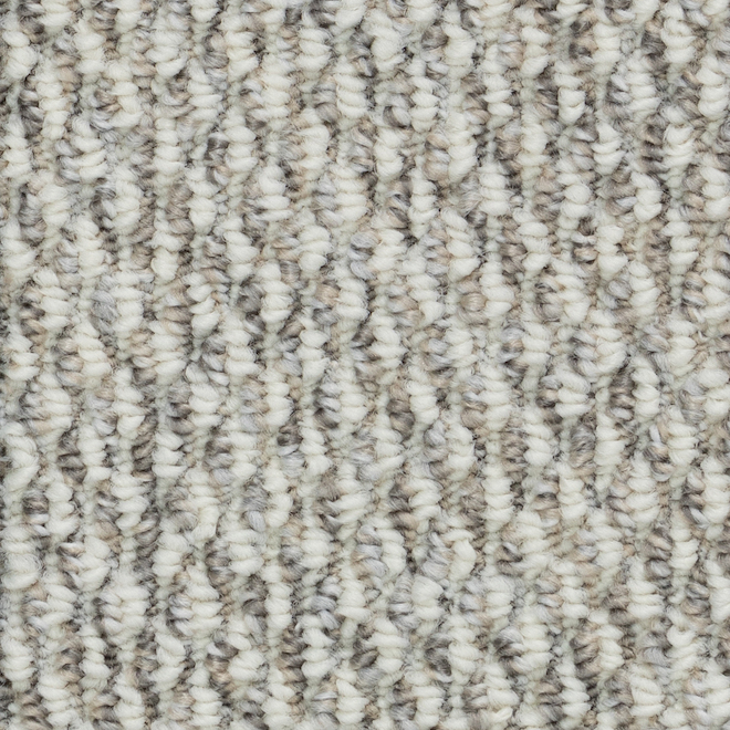 Beaulieu Kinsley 12-ft W. Olefin Fibre Good Vibes Loop Carpet