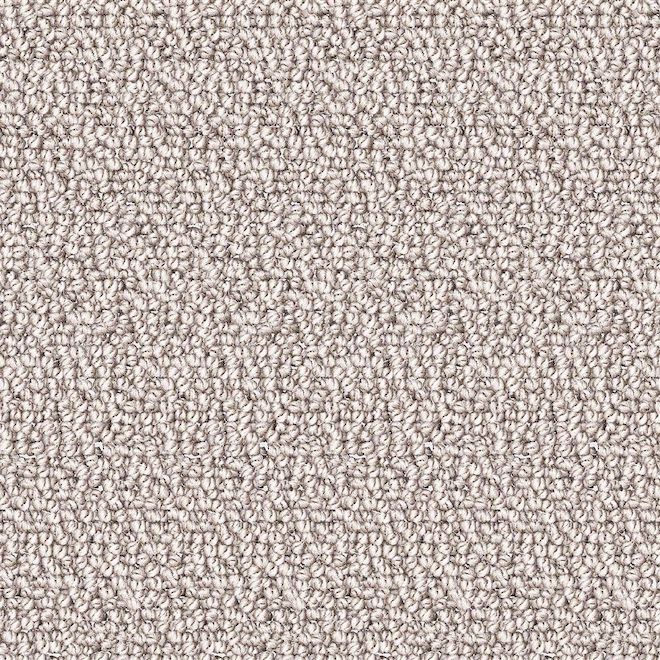 STAINMASTER Devoted Friend 12-ft W Coastal Landscape Carpet - 1 Linear Foot