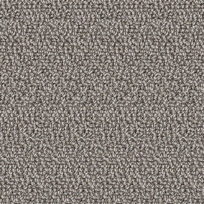 Tapis Devoted Friend 12 pi de largeur par STAINMASTER, couleur gris français clair (1 pied linéaire)