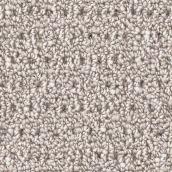 STAINMASTER Happy Paws 12-ft W Coastal Landscape Carpet - 1 Linear Foot