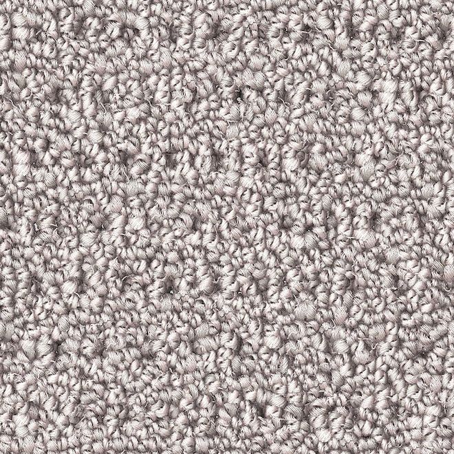 STAINMASTER Happy Paws 12-ft W Peppery Taste Carpet - 1 Linear Foot