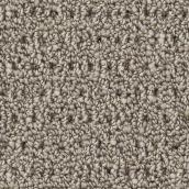 STAINMASTER Happy Paws 12-ft W Coastal Trail Carpet - 1 Linear Foot