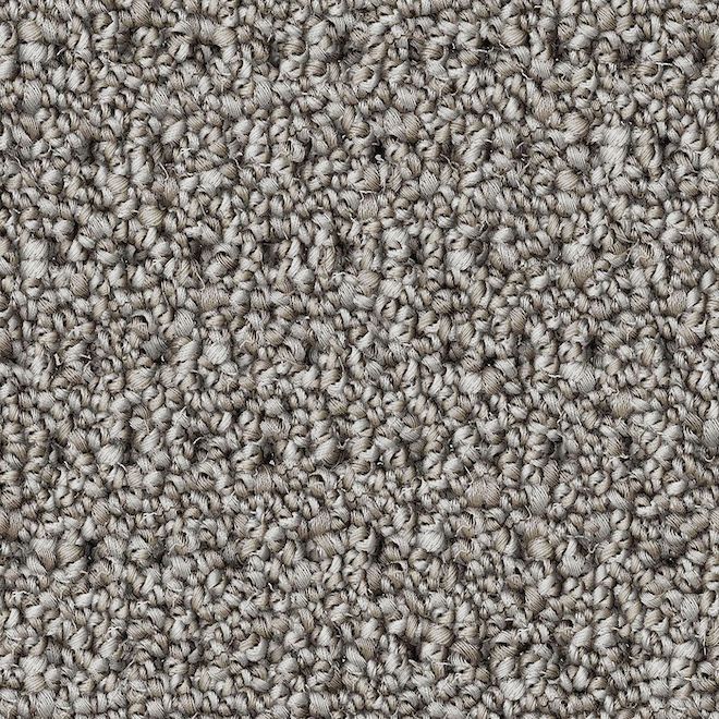 STAINMASTER Happy Paws 12-ft W Light French Grey Carpet - 1 Linear Foot