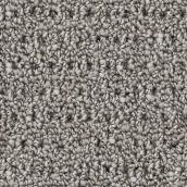 STAINMASTER Happy Paws 12-ft W Light French Grey Carpet - 1 Linear Foot