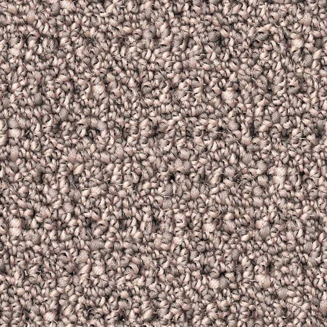 STAINMASTER Happy Paws 12-ft W Grey Shingles Carpet - 1 Linear Foot