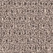STAINMASTER Happy Paws 12-ft W Grey Shingles Carpet - 1 Linear Foot