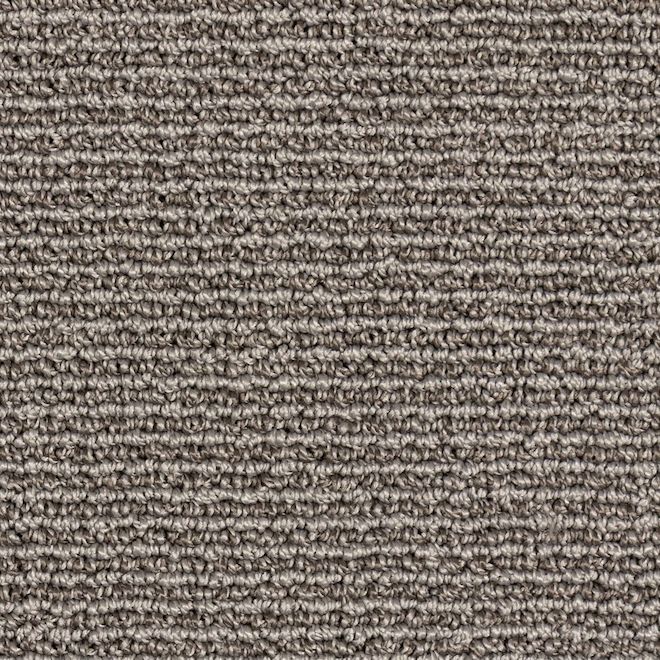 STAINMASTER Union Station 12-ft W Authentic Grey Carpet - 1 Linear Foot