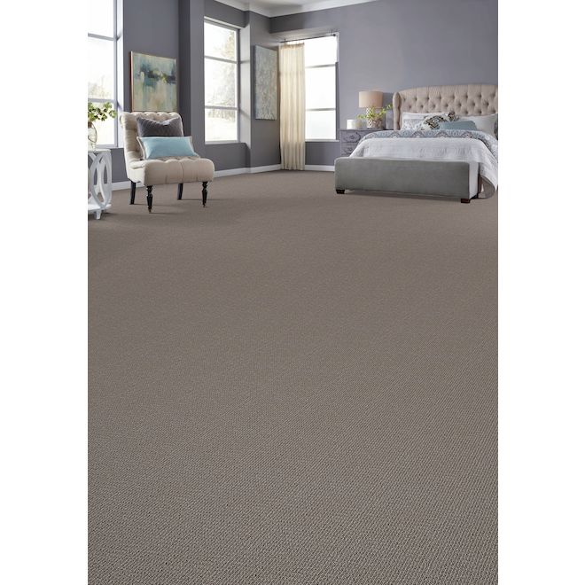 STAINMASTER Union Station 12-ft W Authentic Grey Carpet - 1 Linear Foot
