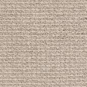 STAINMASTER Union Station 12-ft W Ancestral Home Carpet - 1 Linear Foot