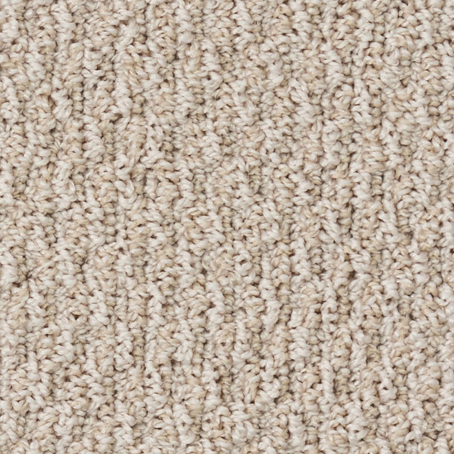 STAINMASTER Balboa Park 12-ft W Peaceful Day Carpet - 1 Linear Foot