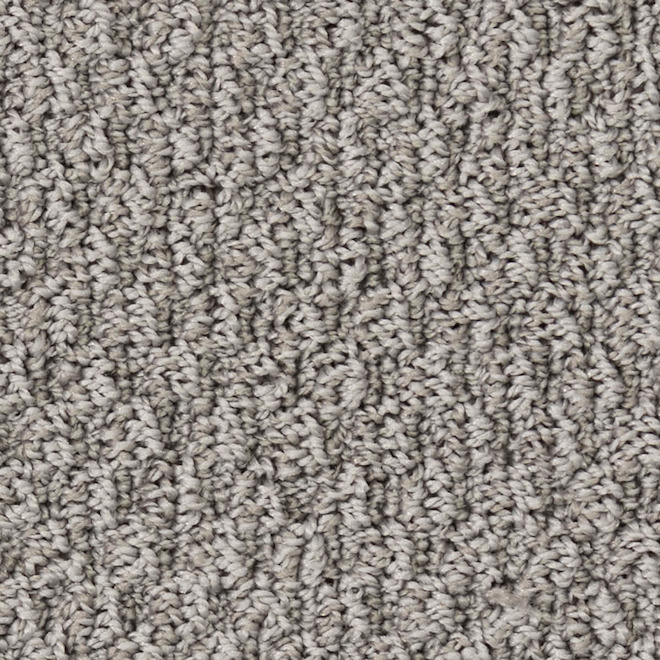 STAINMASTER Balboa Park 12-ft W Vintage Silverware Carpet - 1 Linear Foot