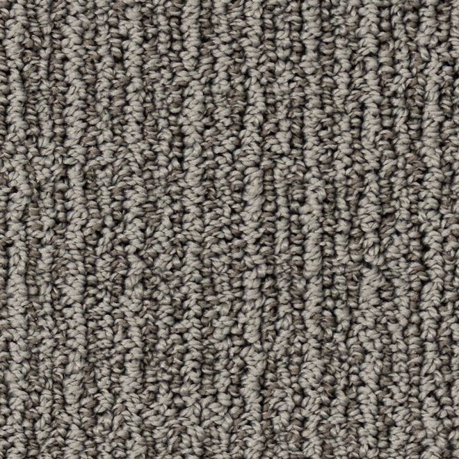 STAINMASTER Forbidden City 12-ft W Authentic Grey Carpet - 1 Linear Foot