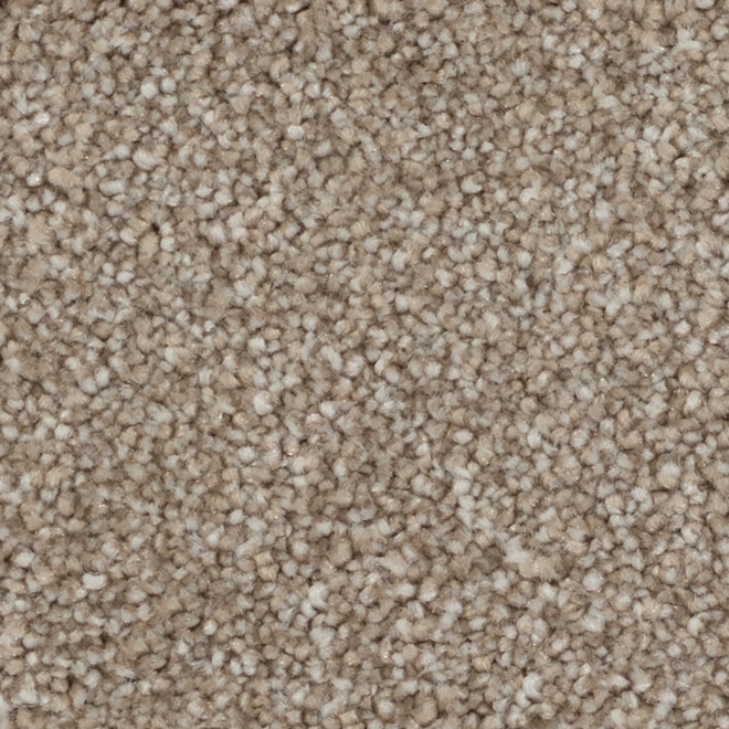 STAINMASTER Plenitude 12-ft W Brown Carpet - 1 Linear Foot