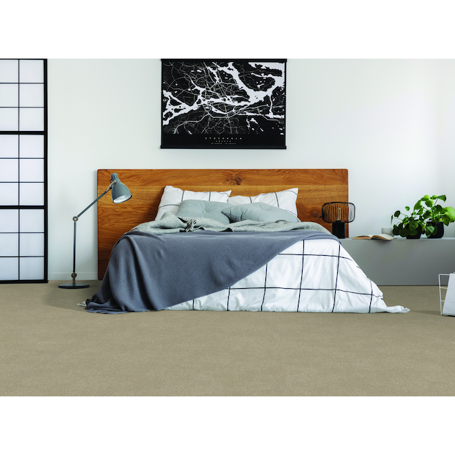 STAINMASTER Plenitude 12-ft W Brown Carpet - 1 Linear Foot