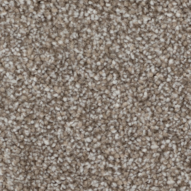 STAINMASTER Plenitude 12-ft W Perfect Balance Carpet - 1 Linear Foot