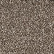 STAINMASTER Plenitude 12-ft W Oriental Bazaar Carpet - 1 Linear Foot