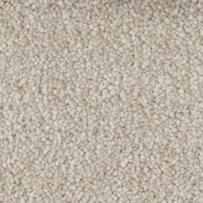 STAINMASTER Plenitude 12-ft W Soft Words Carpet - 1 Linear Foot