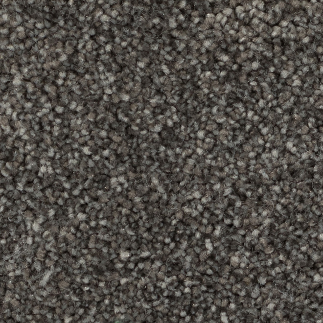 Stainmaster carpet sale