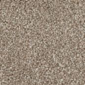 STAINMASTER Quietude 12-ft W Elsewhere Carpet - 1 Linear Foot