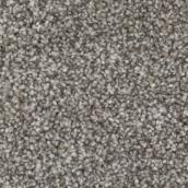 STAINMASTER Quietude 12-ft W Urban Oasis Carpet - 1 Linear Foot