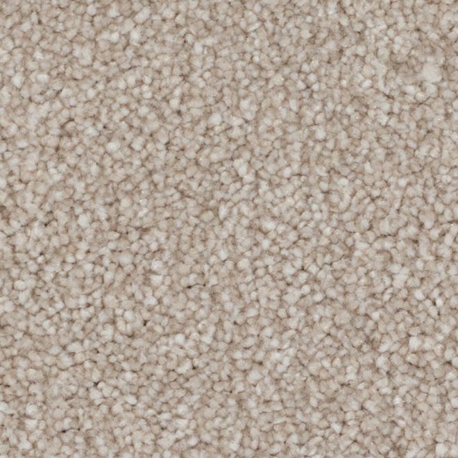 STAINMASTER Quietude 12-ft W Aurora Light Carpet - 1 Linear Foot