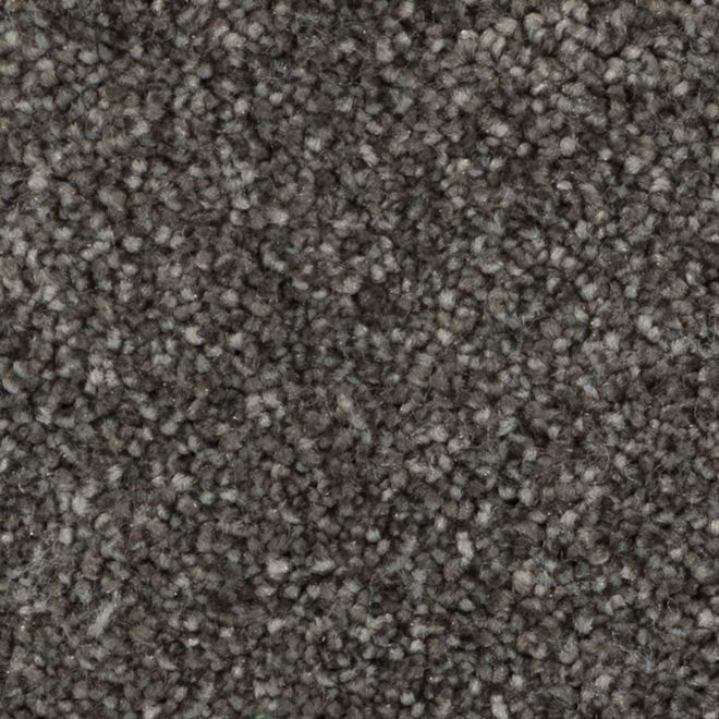 STAINMASTER Quietude 12-ft W Edge of Darkness Carpet - 1 Linear Foot